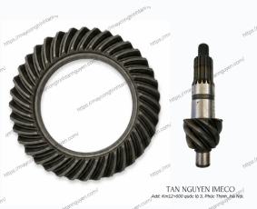 BÁNH RĂNG VÀNH CHẬU VÀ QUẢ DỨA CỦA CẦU TRƯỚC