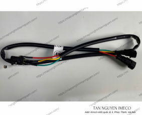 CÔNG TẮC ĐIỀU KHIỂN TAY TRANG B60