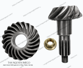 BÁNH RĂNG QUẢ DỨA VÀ VÀNH CHẬU HỘP SỐ DƯỚI
