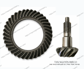 BÁNH RĂNG VÀNH CHẬU VÀ QUẢ DỨA CỦA CẦU TRƯỚC