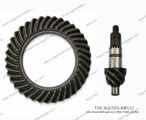 BÁNH RĂNG VÀNH CHẬU VÀ QUẢ DỨA CỦA CẦU TRƯỚC