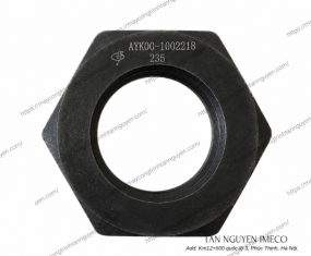 ĐAI ỐC BẮT ĐẦU CỤM BÁNH RĂNG AYK00-1002218235