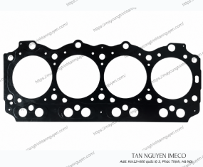 Gioăng quy lát của động cơ DK 300-1003001B-386