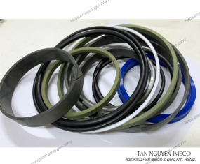 Phớt nâng hạ ben ( B70-75-C75)